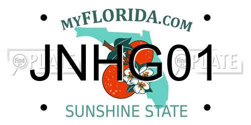 JNHG01 Florida License Plate