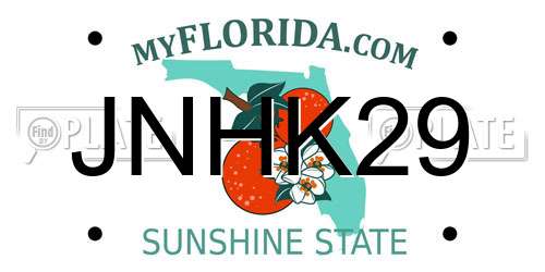 JNHK29 Florida License Plate