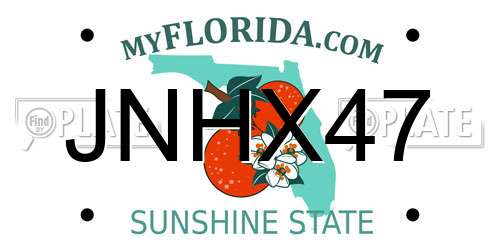 JNHX47 Florida License Plate
