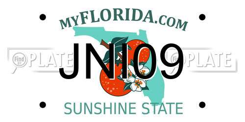 JNI09 Florida License Plate