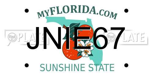 JNIE67 Florida License Plate