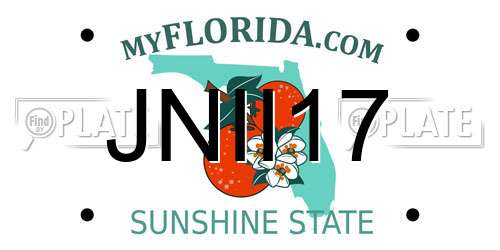 JNII17 Florida License Plate