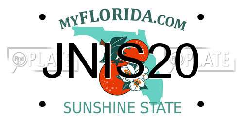 JNIS20 Florida License Plate