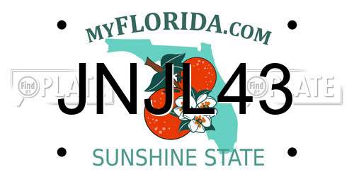 JNJL43 Florida License Plate