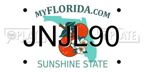 JNJL90 Florida License Plate