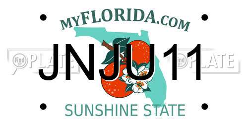 JNJU11 Florida License Plate