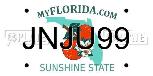 JNJU99 Florida License Plate
