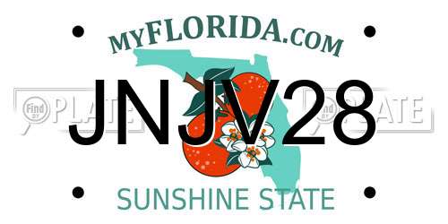 JNJV28 Florida License Plate