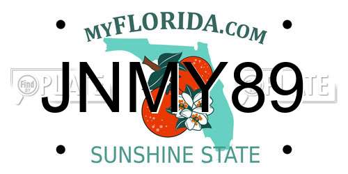 JNMY89 Florida License Plate