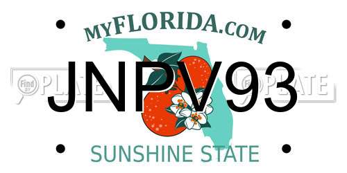 JNPV93 Florida License Plate