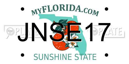 JNSE17 Florida License Plate