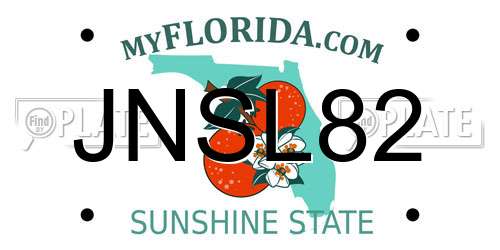 JNSL82 Florida License Plate