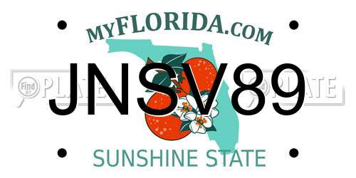 JNSV89 Florida License Plate