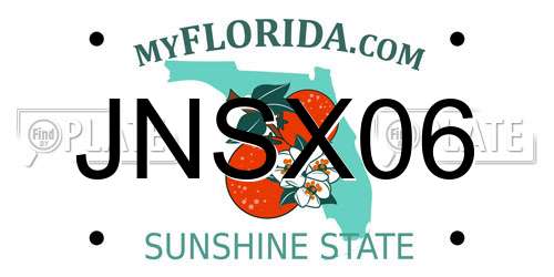 JNSX06 Florida License Plate