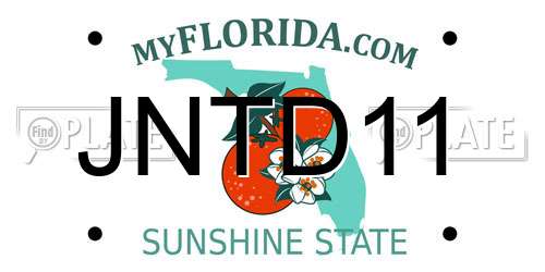 JNTD11 Florida License Plate