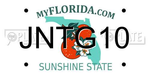JNTG10 Florida License Plate