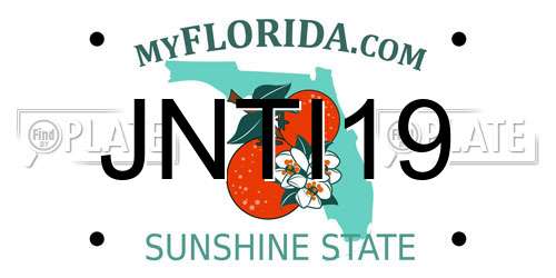JNTI19 Florida License Plate