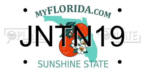 JNTN19 Florida License Plate