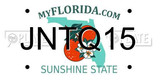 JNTQ15 Florida License Plate