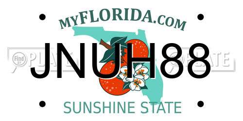 JNUH88 Florida License Plate