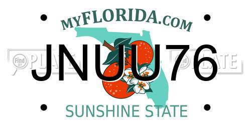 JNUU76 Florida License Plate