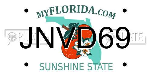 JNVD69 Florida License Plate