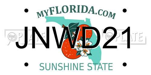 JNWD21 Florida License Plate