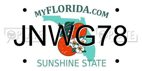 JNWG78 Florida License Plate