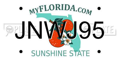 JNWJ95 Florida License Plate