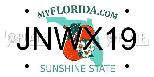 JNWX19 Florida License Plate