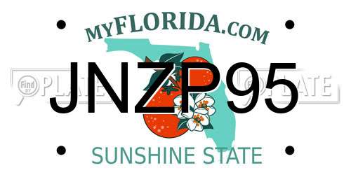 JNZP95 Florida License Plate