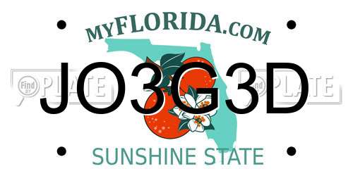 JO3G3D Florida License Plate