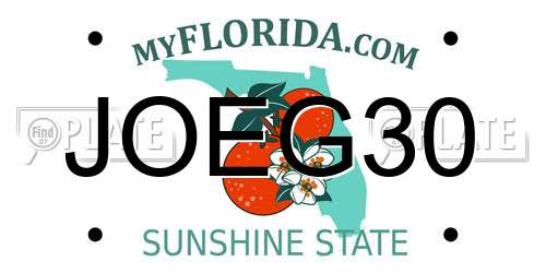 JOEG30 Florida License Plate