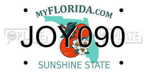 JOY090 Florida License Plate