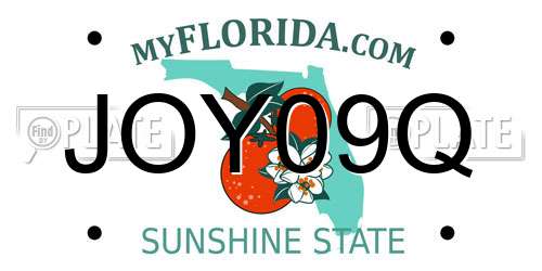JOY09Q Florida License Plate
