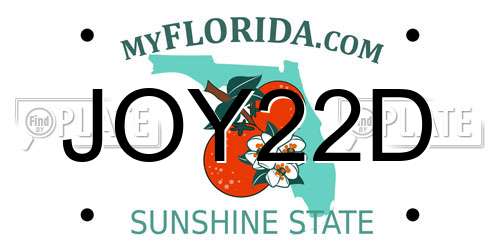 JOY22D Florida License Plate