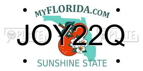 JOY22Q Florida License Plate