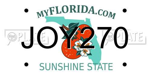 JOY270 Florida License Plate