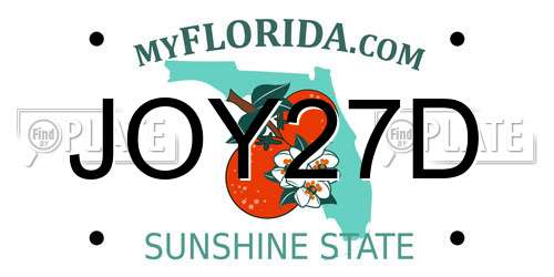 JOY27D Florida License Plate