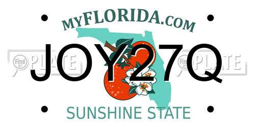 JOY27Q Florida License Plate