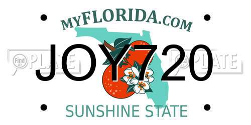 JOY720 Florida License Plate
