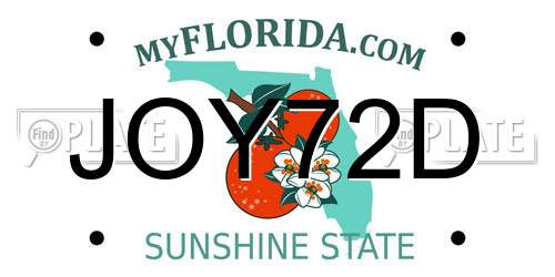 JOY72D Florida License Plate