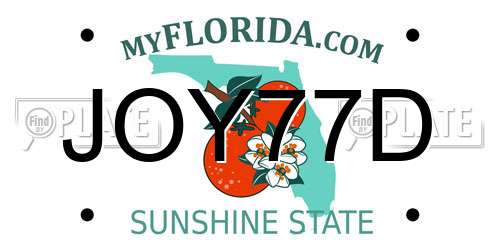 JOY77D Florida License Plate