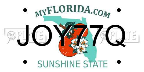 JOY77Q Florida License Plate