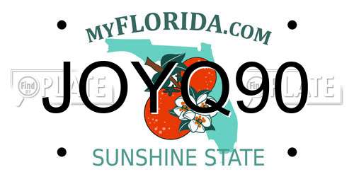 JOYQ90 Florida License Plate