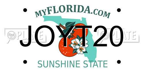 JOYT20 Florida License Plate