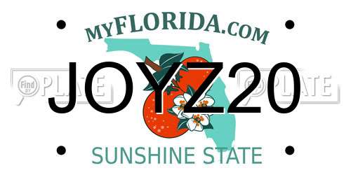 JOYZ20 Florida License Plate