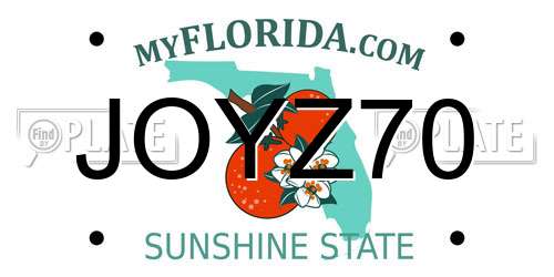 JOYZ70 Florida License Plate