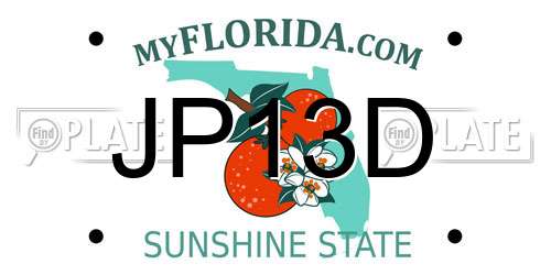 JP13D Florida License Plate