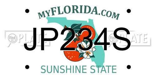 JP234S Florida License Plate